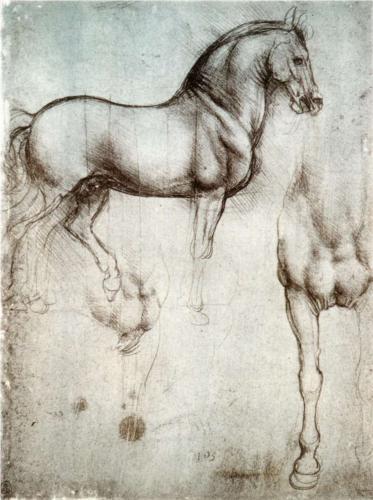 Study of Horses, Da Vinci