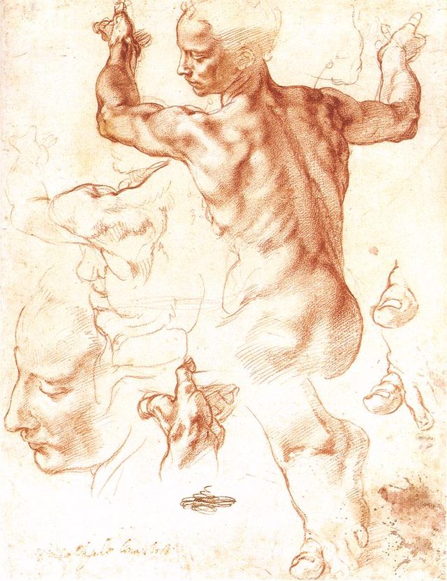 Studies for the Libyan Sibyl, Michelangelo