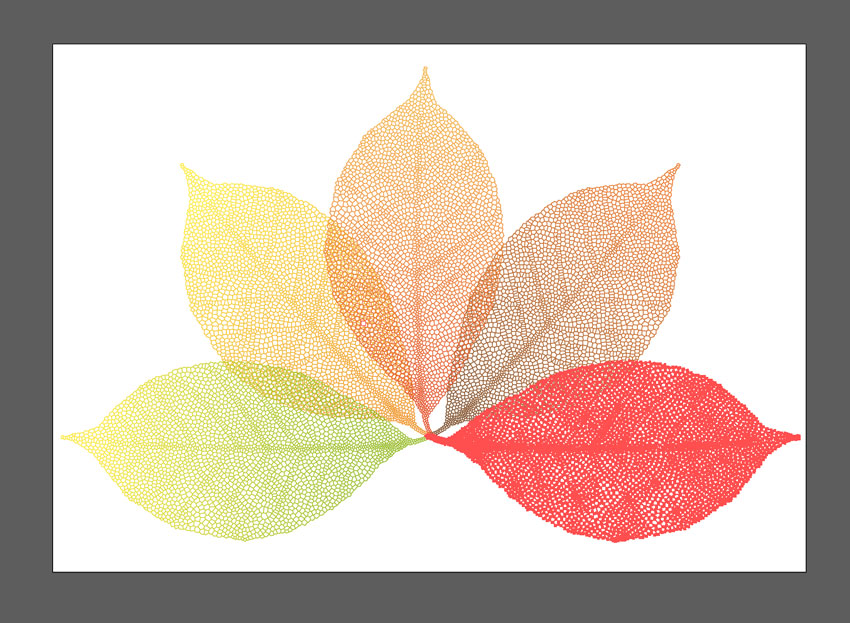 leaf vector