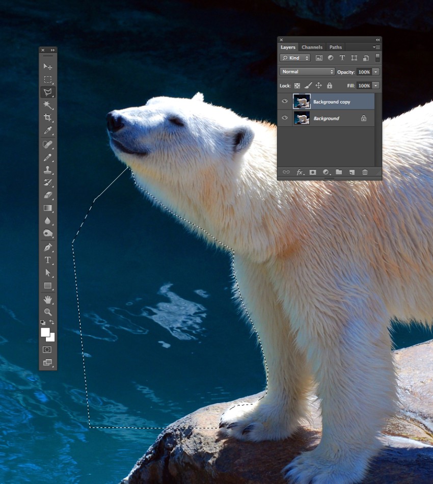 lasso tool