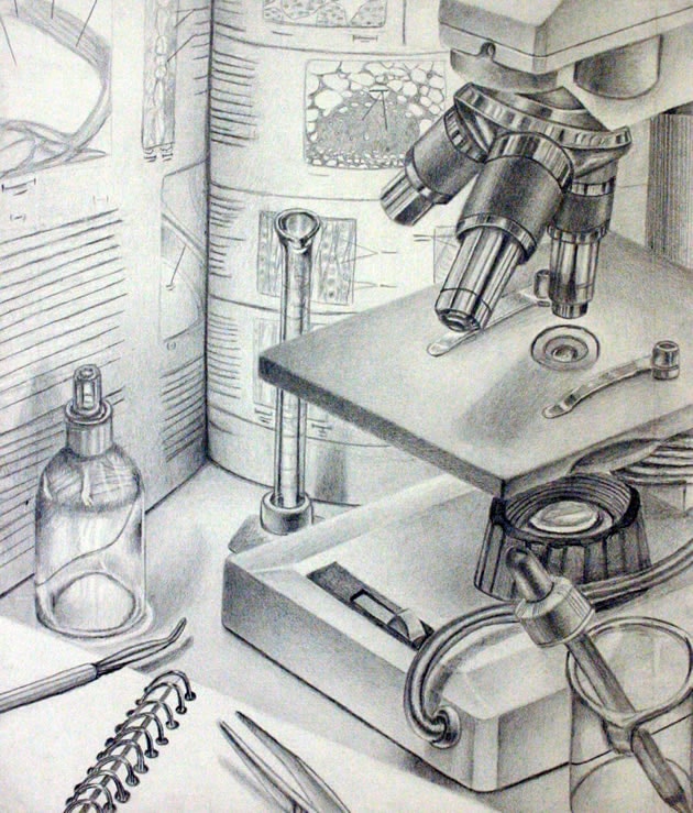 microscope still life drawing