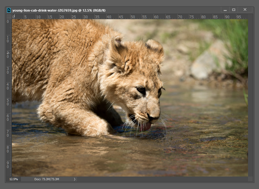 How to Mirror in Photoshop Tutorial Open new image