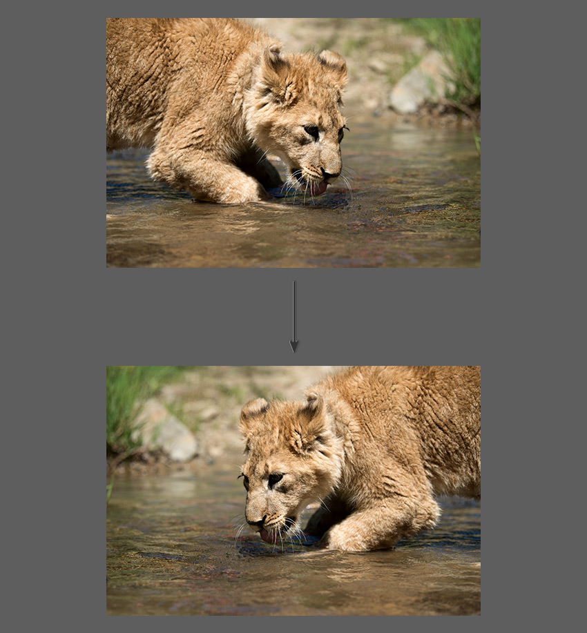 How to Mirror in Photoshop Tutorial Flip canvas horizontal