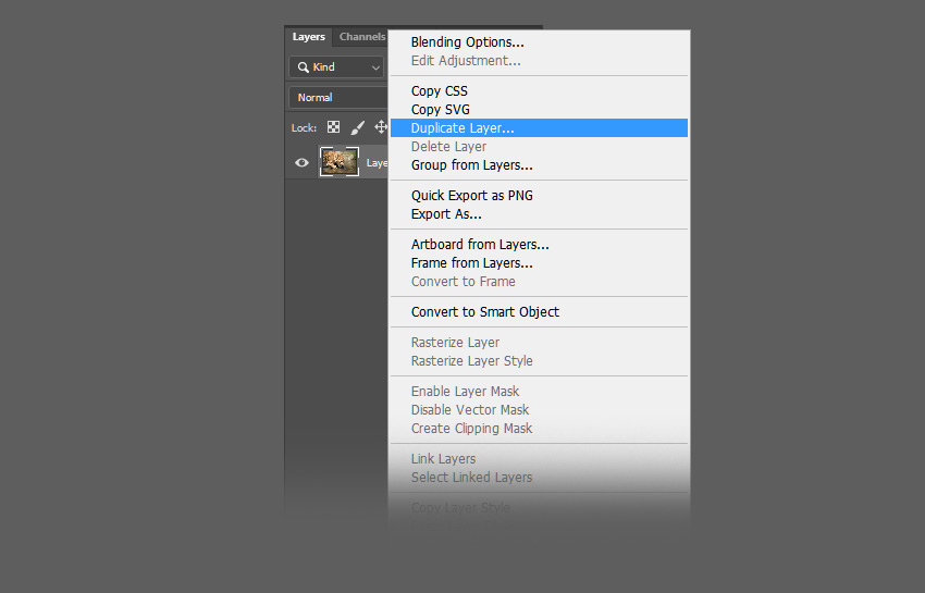 How to Mirror an Image Layer in Photoshop Tutorial Duplicate Photoshop layer