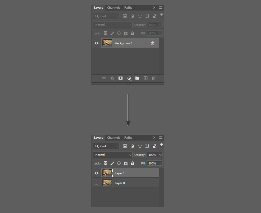 How to Mirror an Image Layer in Photoshop Tutorial Duplicate Photoshop layer