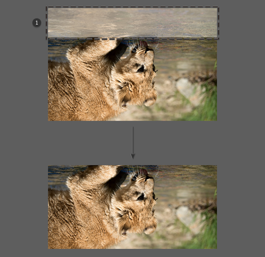 How to Mirror an Image Layer in Photoshop Tutorial Crop layer