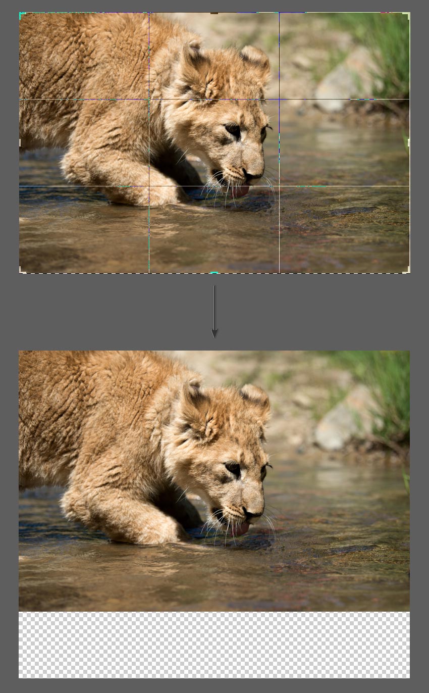 How to Mirror an Image in Photoshop Tutorial Use crop tool