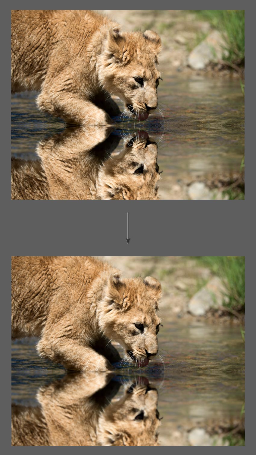 Mirror Image Photoshop Tutorial Blur flipped layer