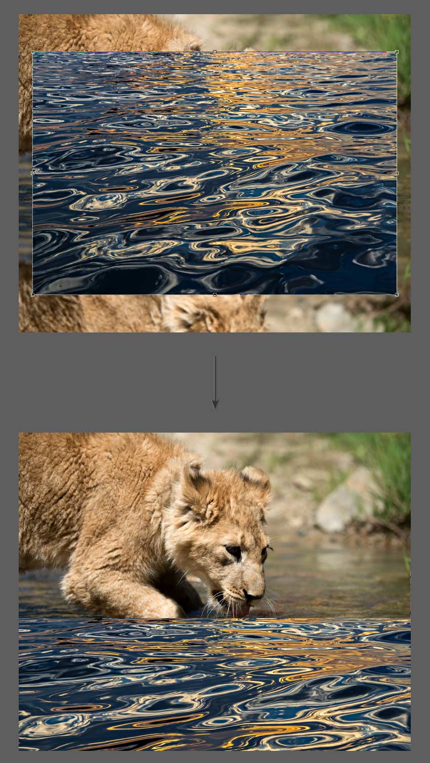 Adobe Photoshop Mirror Image Tutorial Free transform water texture