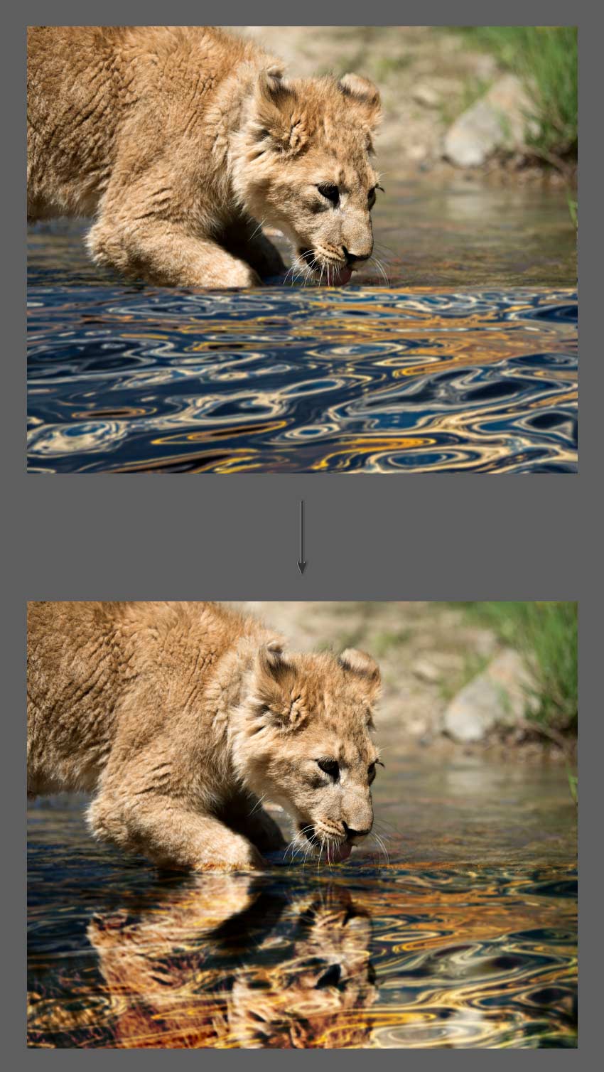 Mirror Image Photoshop Tutorial Use overlay layer