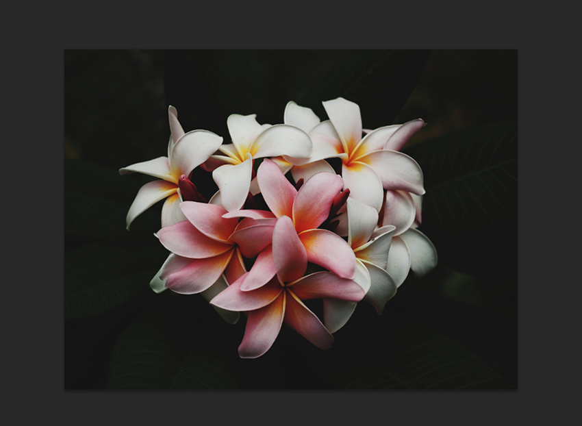 Open the image in photoshop