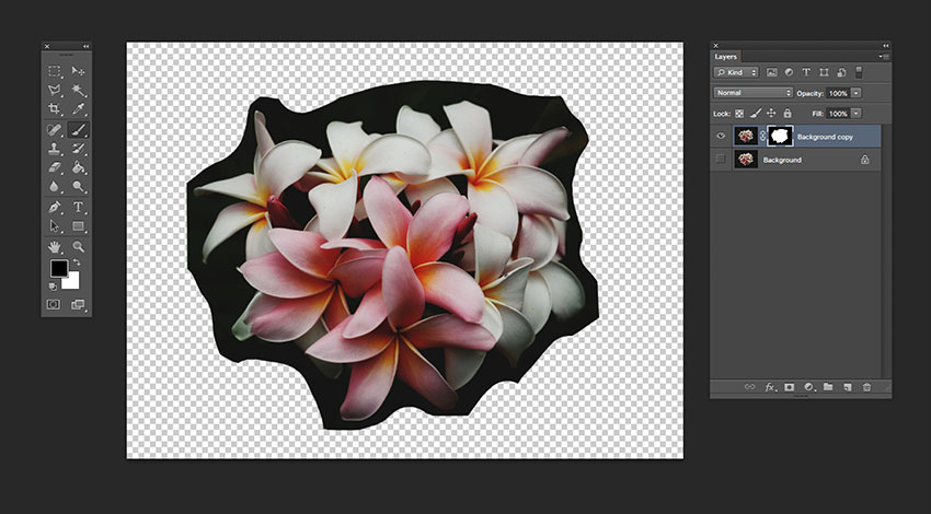 Use the brush tool to eliminate the flower background