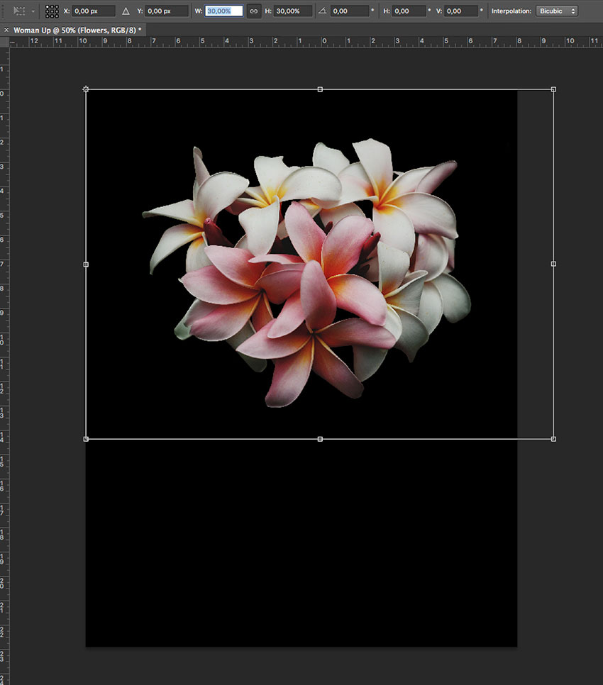 Resize the flower layer on the new document