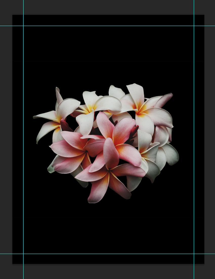 Optically centre flower layer on the new document