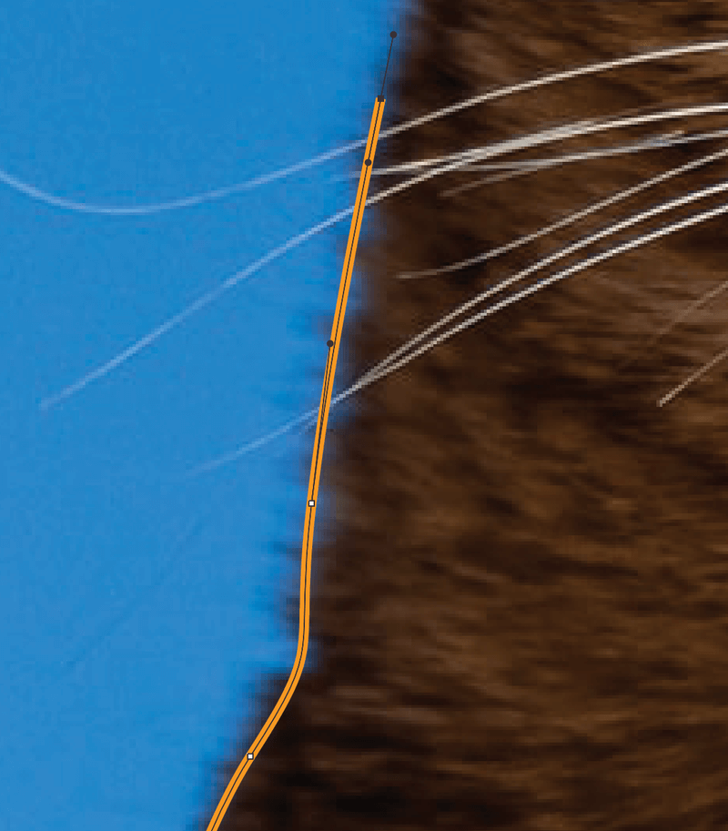 How to Make a Silhouette in Adobe Illustrator Communication, Art