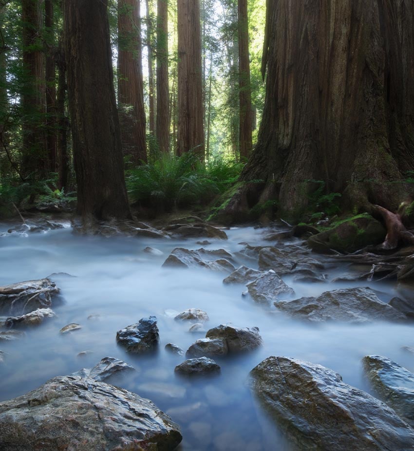 Hit Generate in the context bar without filling in a prompt