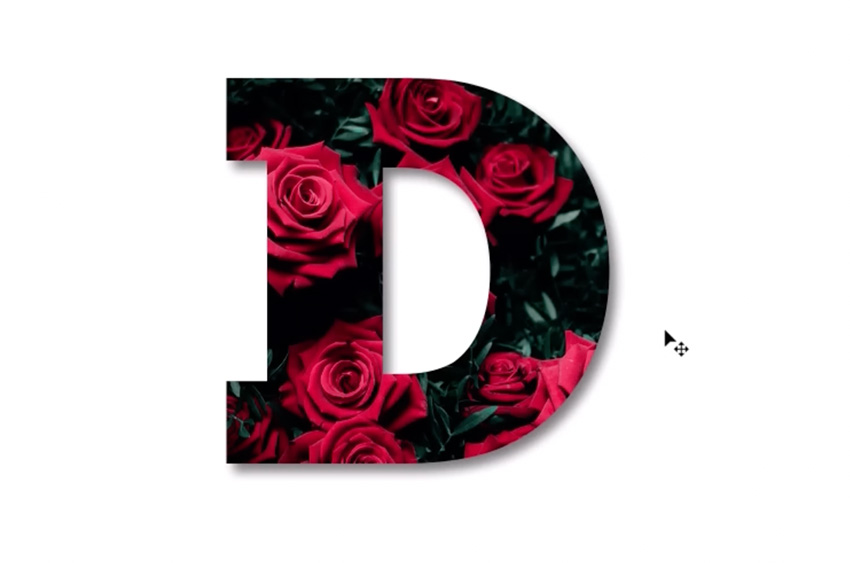 roses inside a letter