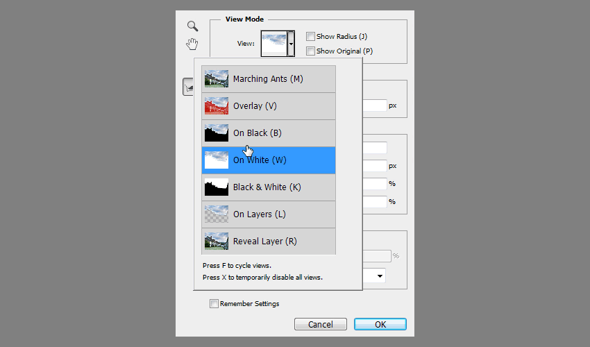 Refine Edge in Photoshop